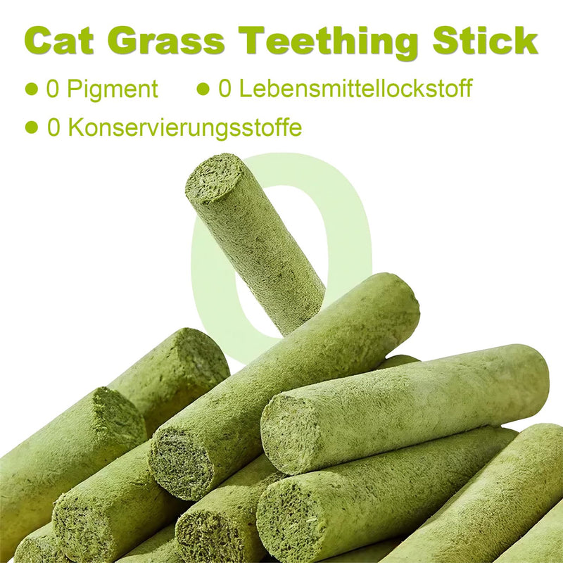 Cat Grass Teething Stick Grass for Indoor Cats, Dental Treats Cat Chew Sticks Cats Teeth Cleaning Treats Natural Grass Catnip Stick Catnip Teething Toy Dental Sticks for Hairball Removal (12 Pcs) 12 Pcs