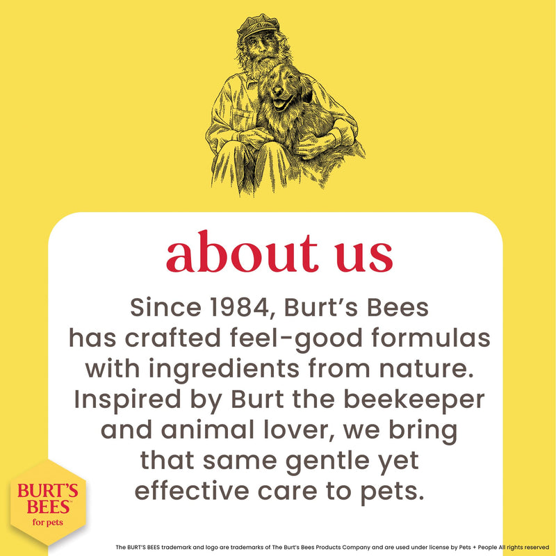Burt's Bees for Pets Itch Soothing Spray for Dogs, Prebiotics Collection with Mushroom Extract & Green Tea, Naturally Derived Dog Itching Skin Relief Spray, 10oz 10 Fl Oz (Pack of 1)