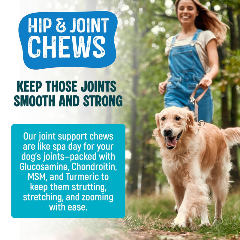 Hip & Joint Care for Dogs – 120 Pumpkin Flavour Soft Chews – Joint Support Max Formula with Natural Anti-Inflammatory Ingredients for Mobility & Joint Pain Relief