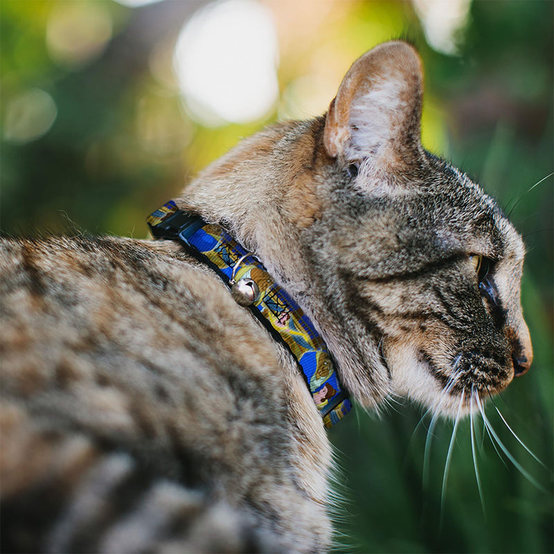Buckle-Down Breakaway Cat Collar - Beast & Belle Ball Scene Poses - 1/2" Wide - Fits 8-12" Neck - Medium NARROW MEDIUM - Fits 8-12 Inch (0.5 Inch WIDE) - BeesActive Australia