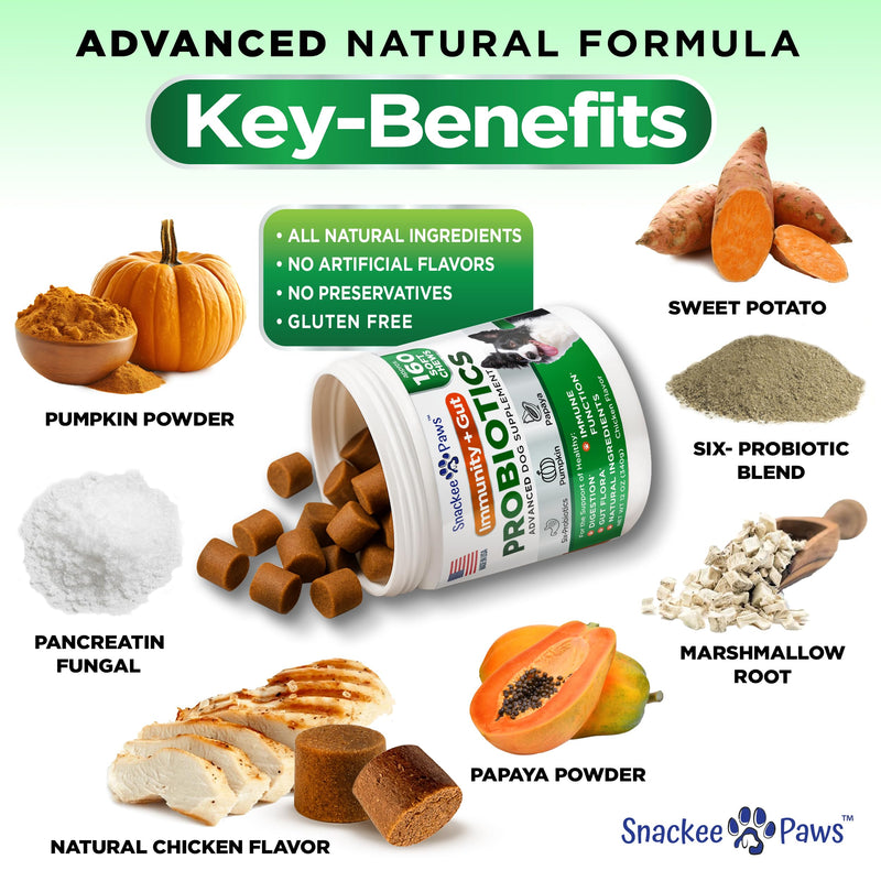 Probiotics for Dogs and Digestive Enzymes - Approx 160 Dog Probiotics Chews - Dog Probiotic - Anti Diarrhea, Upset Stomach & Gas Relief, Canine Prebiotic - Pet Fiber Supplement - Chicken Flavor