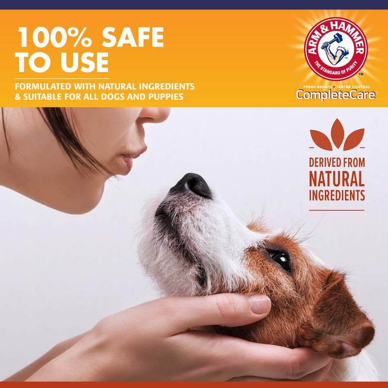 Arm & Hammer Complete Care Dog Dental Spray, 6 Fl Oz | Mint Flavor Dog Dental Spray for Easy Brushless Cleaning | Baking Soda Enhanced Formula for Fresh Breath and Tartar Control 6 Fl Ounce (Pack of 1) - BeesActive Australia