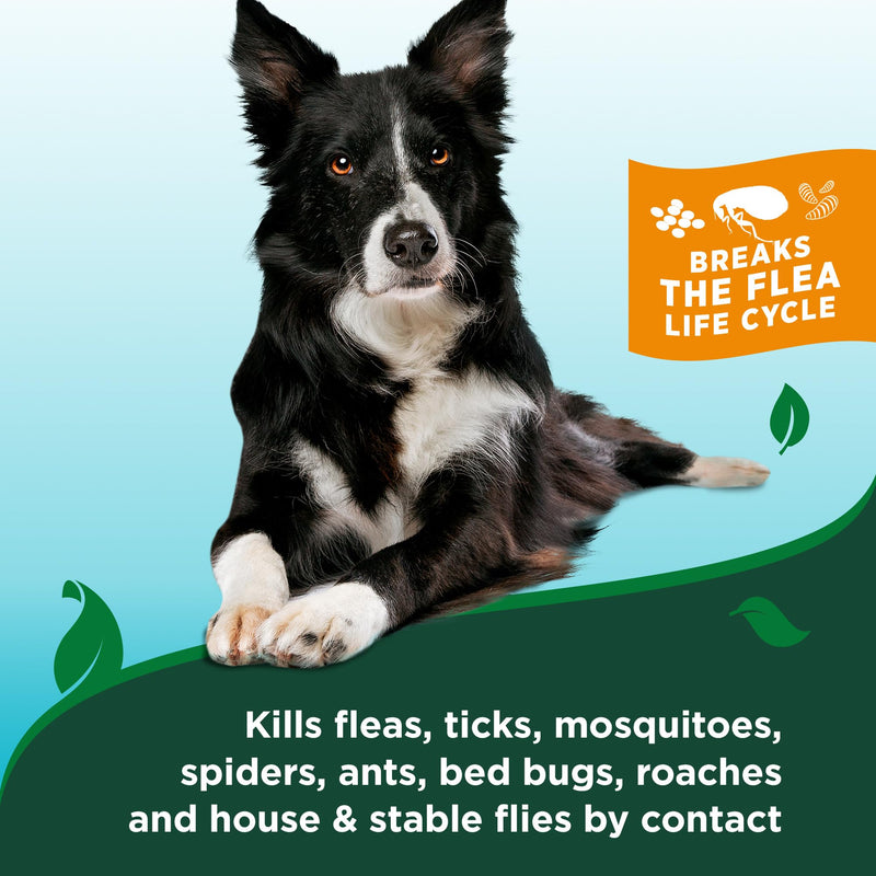 Vet's Best Natural Flea and Tick Easy Spray for Dogs – Cotton Spice Scent – Natural Flea & Tick Prevention – Kills Pests on Contact – Plant-Based Formula – Made in USA – 14 oz