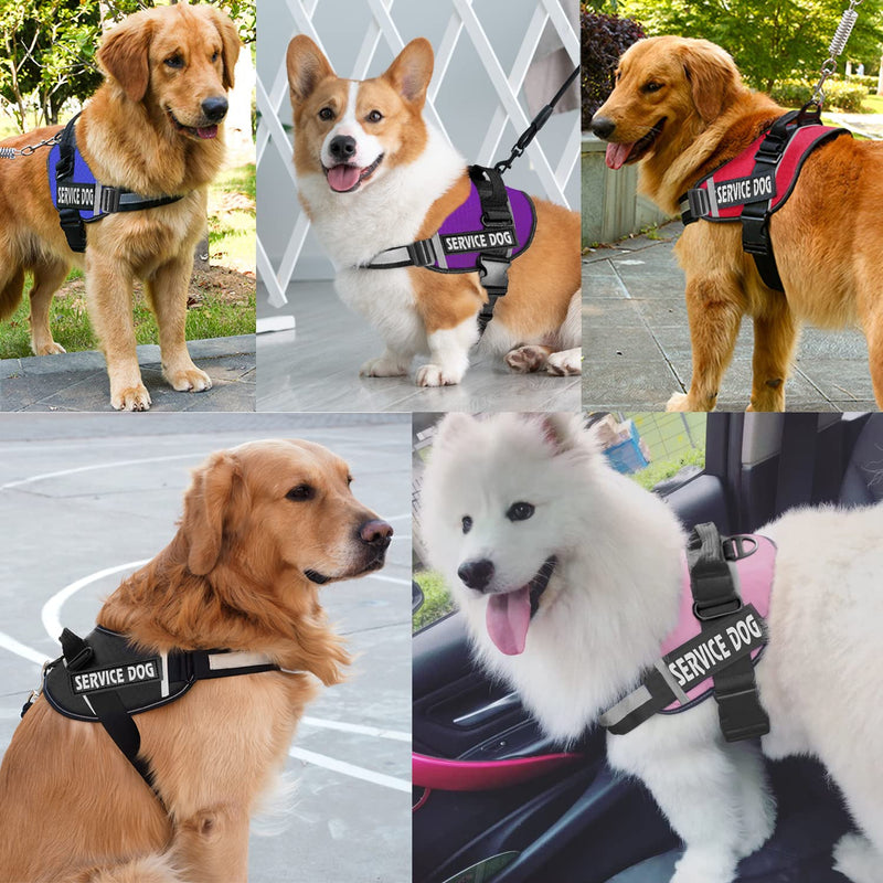 Dog Harness,No-Pull Service Dog Harness with Handle Adjustable Outdoor Pet Dog Vest 3M Reflective Nylon Material Vest for Breeds,Easy Control for Small Medium Large Dogs Red - BeesActive Australia