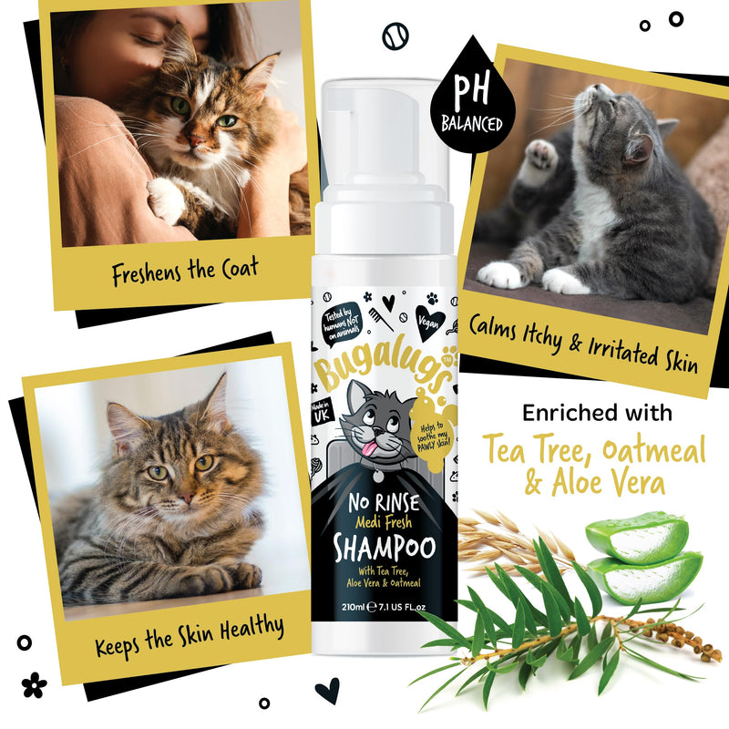 Bugalugs No Rinse Cat Shampoo for itchy skin with Tea Tree & Aloe Vera. Brush through, no rinse shampoo & conditioner for cats and kittens. Foam action grooming dry kitten (No Rinse Shampoo)