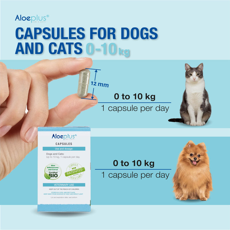 Cats & Dogs Capsules—an Energetic, detoxifying Supplement with Organic Aloe Arborescens. Supports Immunity for Puppies, Adult and Senior Pets, Helps Improve Appetite. 60 Capsules
