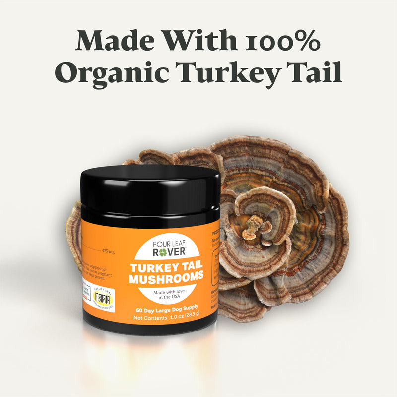 Turkey Tail Mushroom for Dogs - Whole, Organic Mushrooms - Tested High in Critical Beta-Glucans - No Grains or Fillers - 60 Day Large Dog Supply 60 Day Supply - PawsPlanet Australia