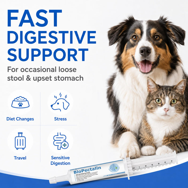 Anti-Diarrheal Paste for Dogs & Cats | Savory Chicken Flavor | Natural Digestive Support with Kaolin, Pectin & Probiotics | Firms Loose Stool & Soothes Upset Stomach | 30ml
