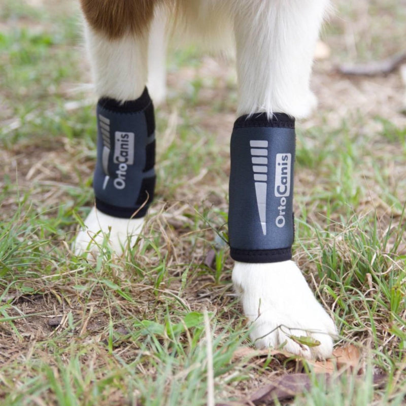 Ortocanis - Carpal Joint Brace for Dogs - Osteoarthritis, Ligament and Tendon Injuries or Agility Dogs - Made of Neoprene ARD - Size S 12-13 cm Size S (12-13 cm) - BeesActive Australia