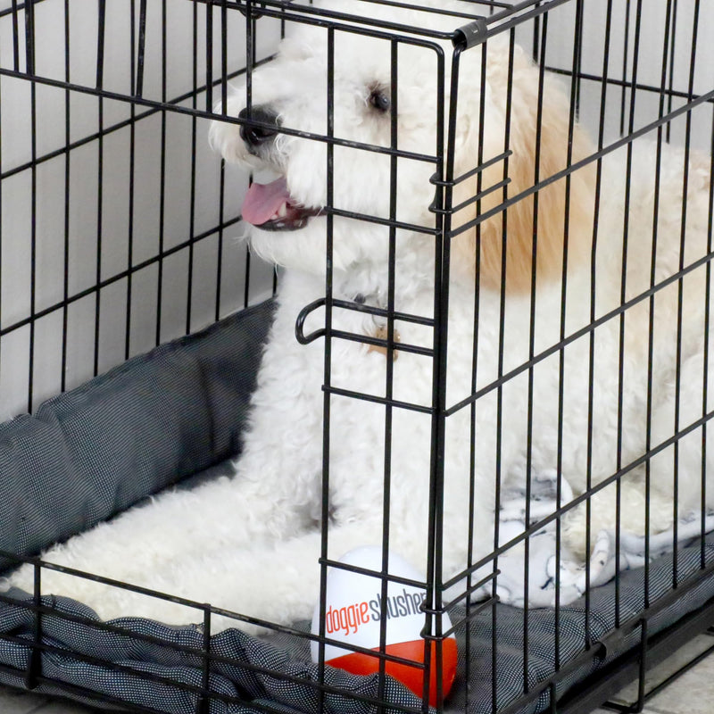 Doggie Shusher: Dog Anxiety Relief | Calming Sound Machine for Pets | for Kennel Training, Separation Anxiety, Fireworks, and Thunderstorms | Slobber Proof | Drug Free | USB-C Charging Cable Included - PawsPlanet Australia