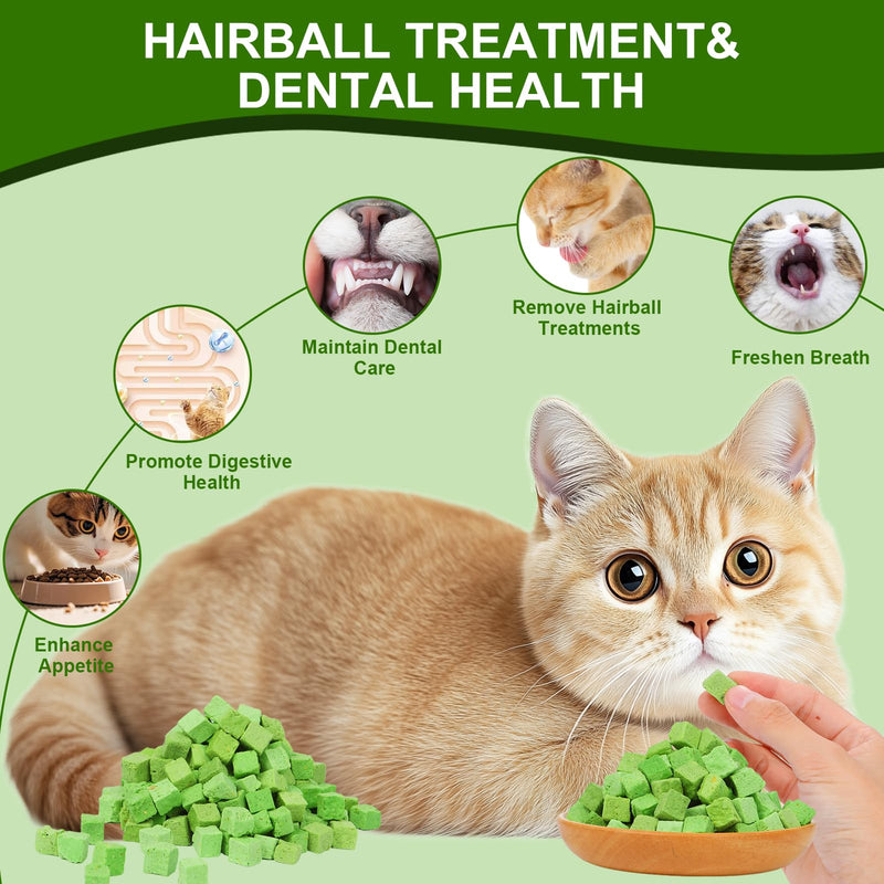100g Freeze-Dried Cat Grass Treats, Natural Hairball Treatment for Cats, Edible Cats Chew Toy Cat Treats Snack for Teething Cleaning Hairball Removal 3.53 Ounce (Pack of 1)