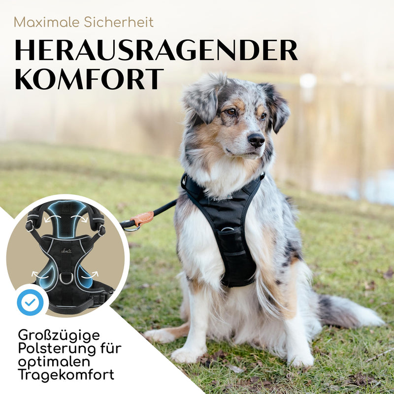 FREUDENTIER dog harness with comfortable mesh padding - perfect fit without slipping - anti-pull chest harness for large, medium and small dogs (Black, L) Black - BeesActive Australia