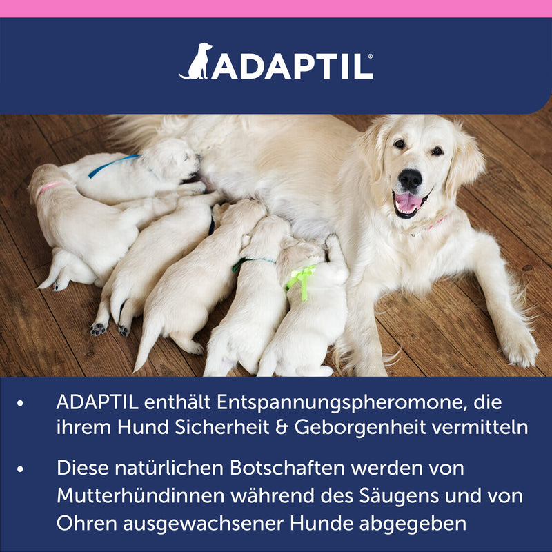 ADAPTIL Junior collar pheromone collar - BeesActive Australia