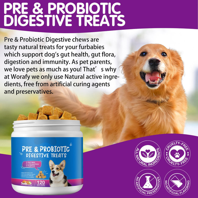 Probiotics Chews for Dogs Promotes Digestion and Kin & Coat Pure Natural Dog Pet Fiber Supplement - 120 Chewable Treats