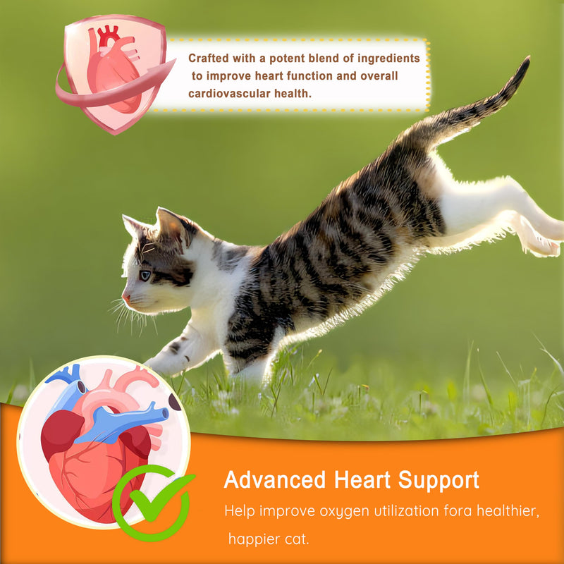 Cardio Chews for Cats - Advanced Cardiovascular Care - Heart Health & Circulation Support with Salmon Oil, Taurine, CoQ10 & More - Feline Supplement for Optimal Cardiac Function (Salmon) - BeesActive Australia
