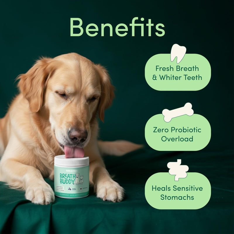 Fifth & Fido Breath Buddy Bacon Flavor Dog and Cat Dental Powder, with Brown Algae, Zeolite, Pomegranate, Cranberry and Marshmallow Root, Fresh Breath, Clean Teeth, Plaque and Tartar Removal, 5.3 oz