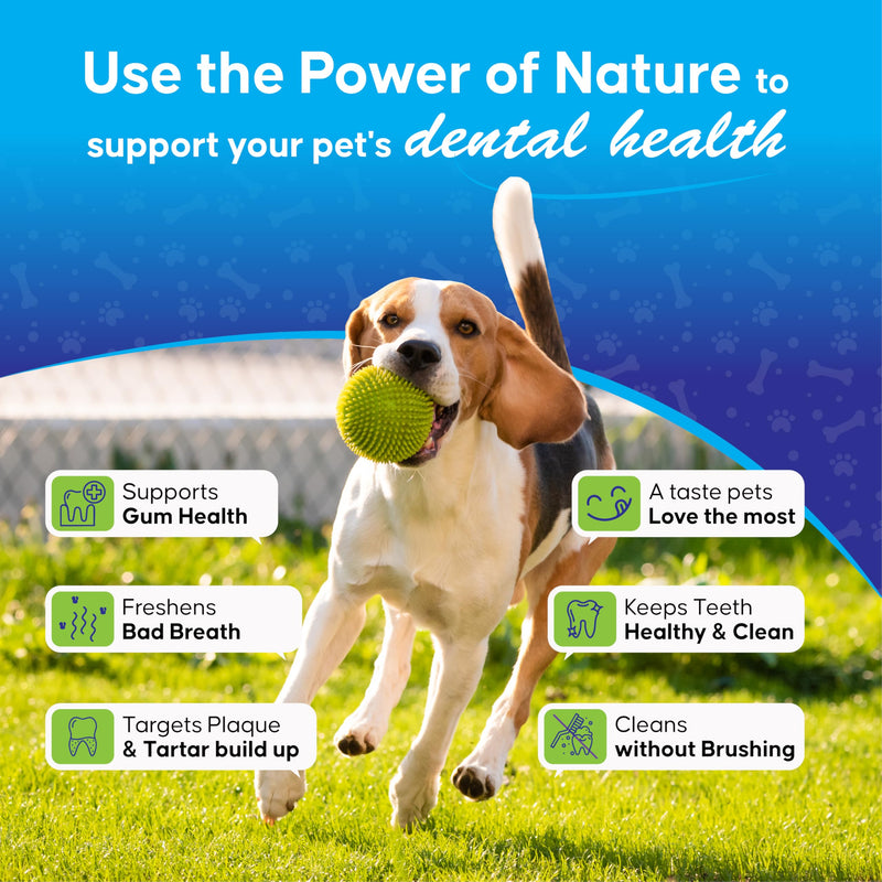 Plaque Control Powder for Dogs & Cats/Pet Teeth Cleaning Supplements/Natural Breath Freshener Food Topper/Daily oral Hygiene Support / 120g / No Toothbrush or Toothpaste Needed