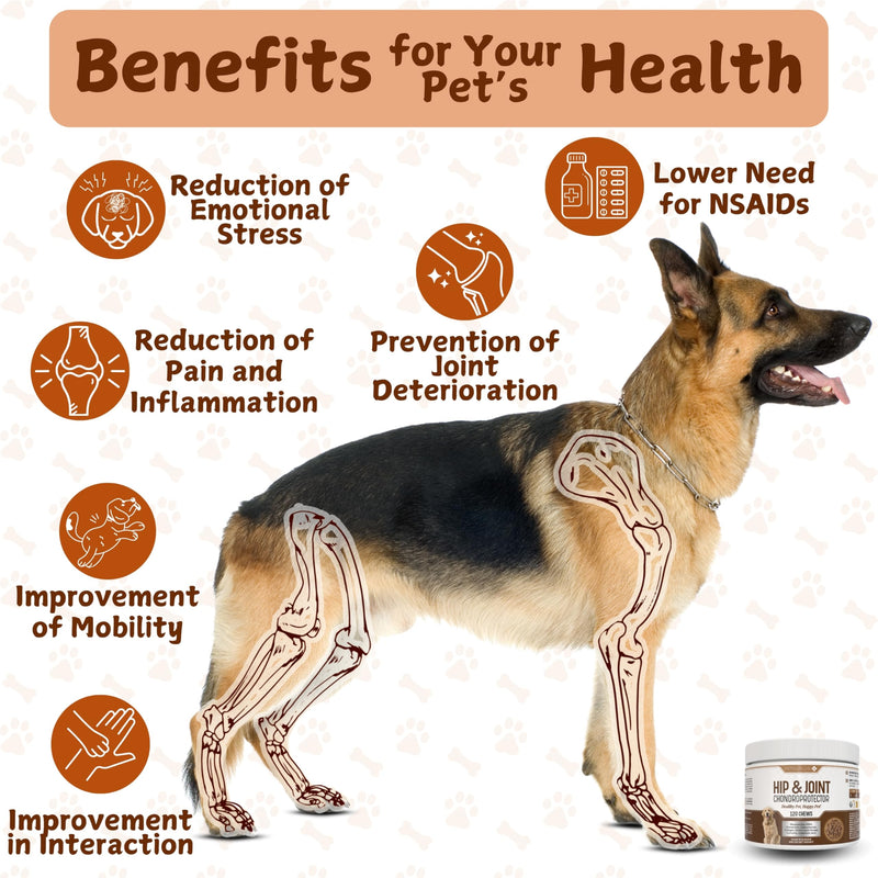 Hip & Joint Care. Collagen for Dogs. Dog Joint Supplements with Green Lipped Mussel, Glucosamine, Chondroitin, Hyaluronic Acid, Calcium & more. 120 Chews