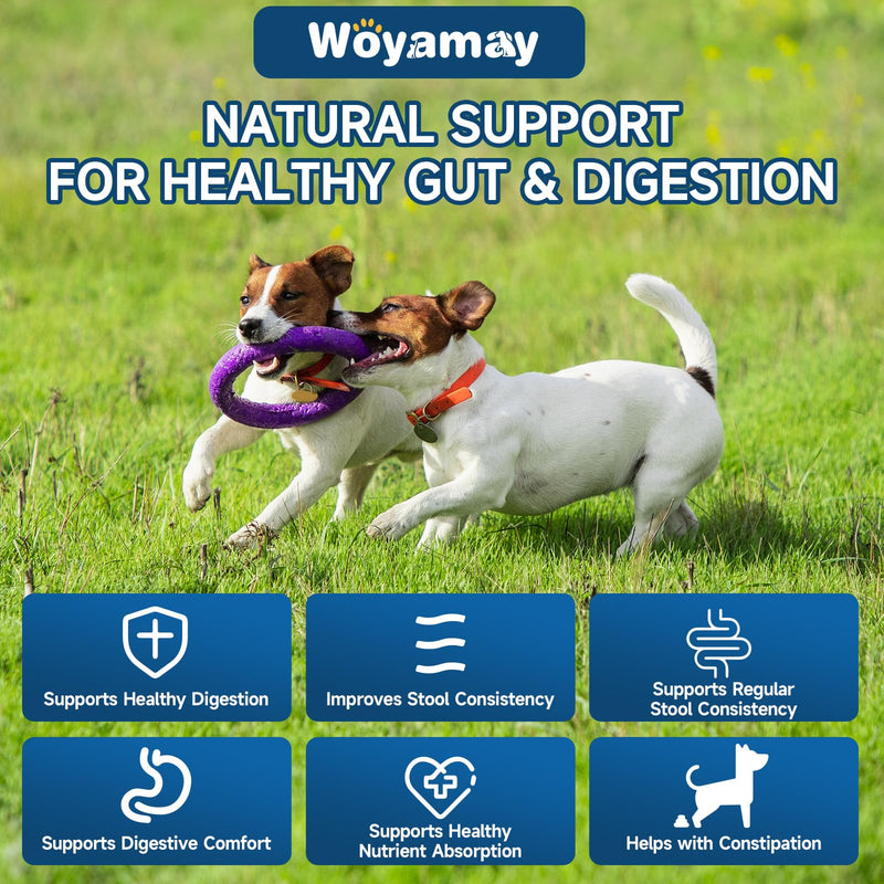 Dog & Cat Probiotics Chews, Gut Health for Dogs + Allergy Itch Relief for Cats, Digestive Immune Skin Support, Multi-Pet Household Solution, Chicken Flavor Soft & Crunchy Chews