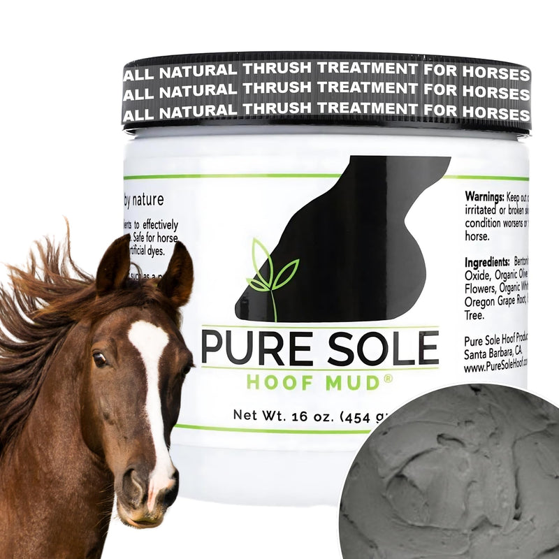 Thrush Treatment for Horses | Hoof Putty Wax (7 oz) and Hoof Mud (16 oz jar) Bundle - PawsPlanet Australia