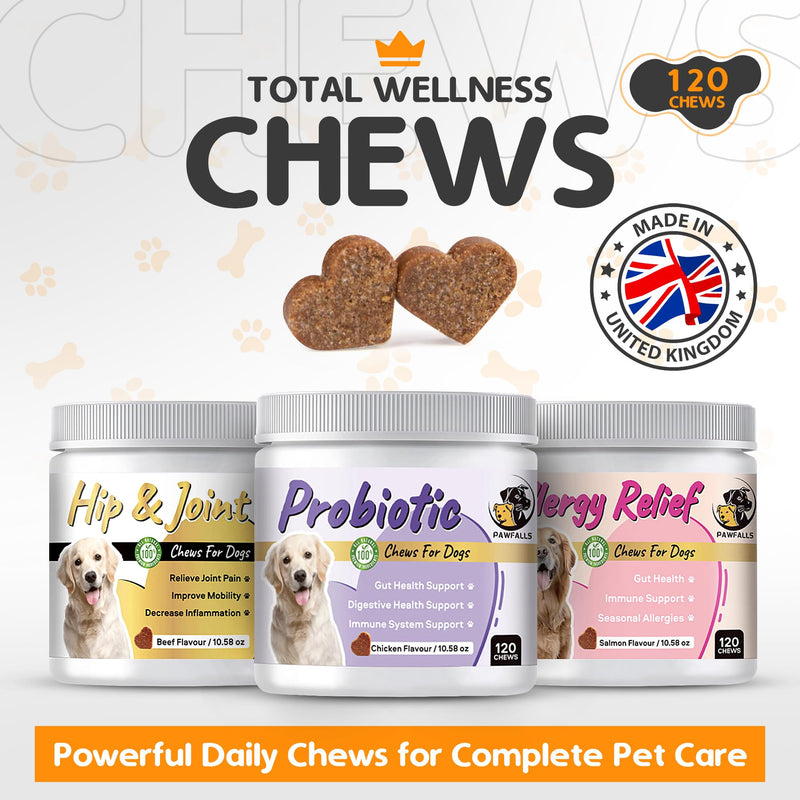 HIP and Joint Chews – Dog Joint Supplement with Glucosamine, Chondroitin & MSM – Supports Cartilage, Hip & Joint Health – Soft Chews for Senior & Adult Dogs – 120 Chews, Natural Beef Flavor