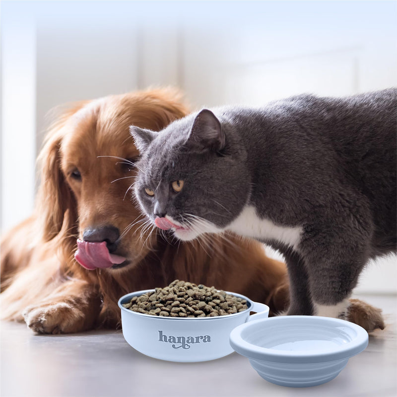 2-in-1 Insulated Stainless Steel Dog Bowl with Extra Collapsible Lid and Handle for Dog Cat Pet | Non Slip Rubber Bottom | Portable, Great for Indoor, OutDoor| 30 OZ (plus 20 oz) (Blue) Blue - BeesActive Australia