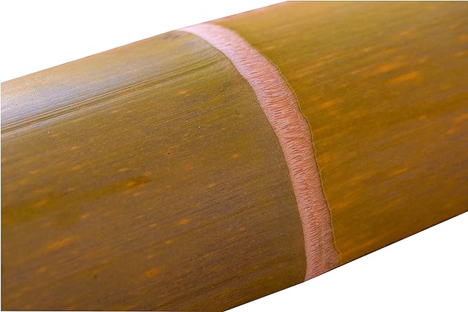 Exercise First: Green bamboo steps are made in Japan! Recommended for frequent urination, preventing swelling of feet, cold, and flatfoot prevention - BeesActive Australia