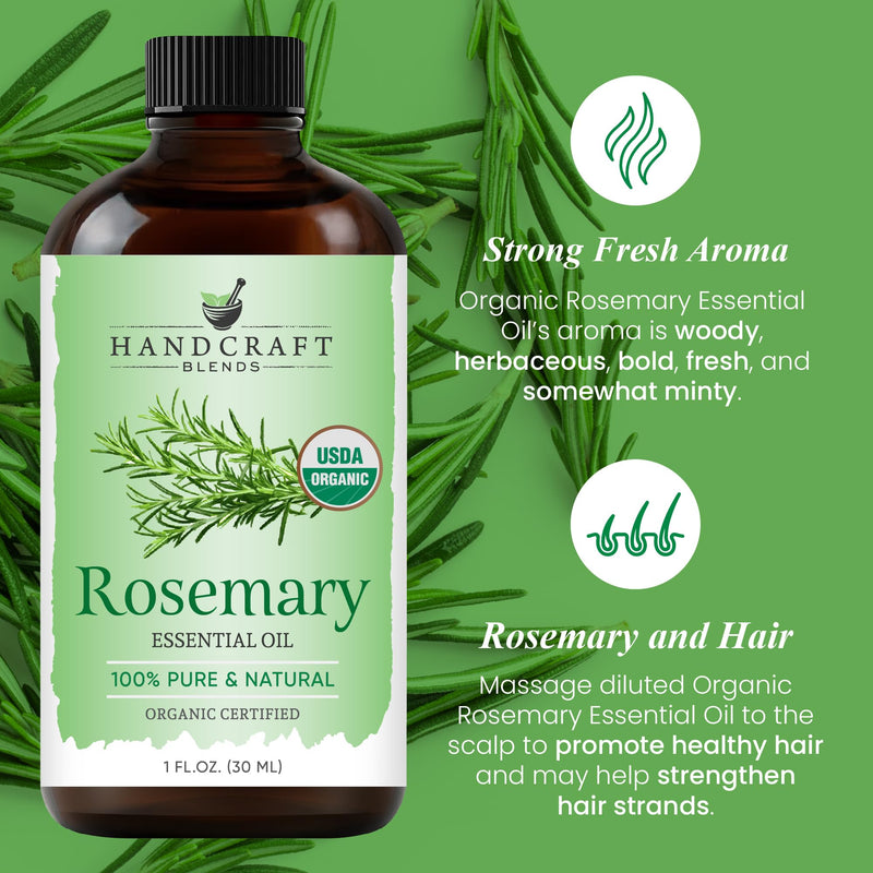 Handcraft Blends Organic Rosemary Essential Oil ‚Äì 1 Fl Oz ‚Äì 100% Pure and Natural ‚Äì Premium Grade Essential Oil for Diffuser and Aromatherapy 1 Fl Oz (Pack of 1)