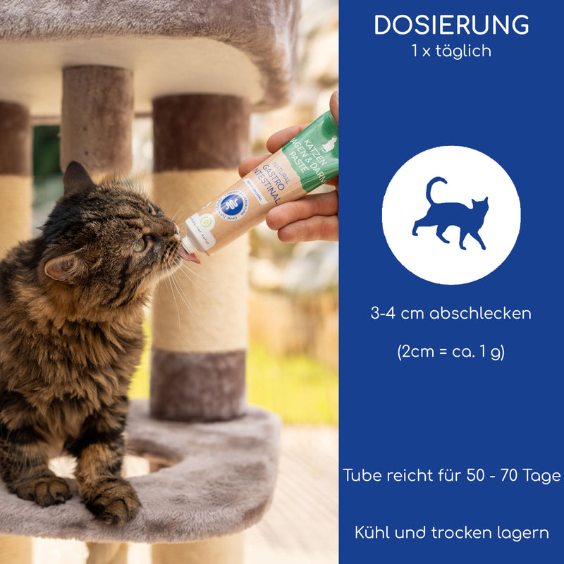 Natural gastrointestinal paste for cats - cat snack with probiotics and elm bark - supports digestion and intestinal flora, gastro intestinal paste - BeesActive Australia