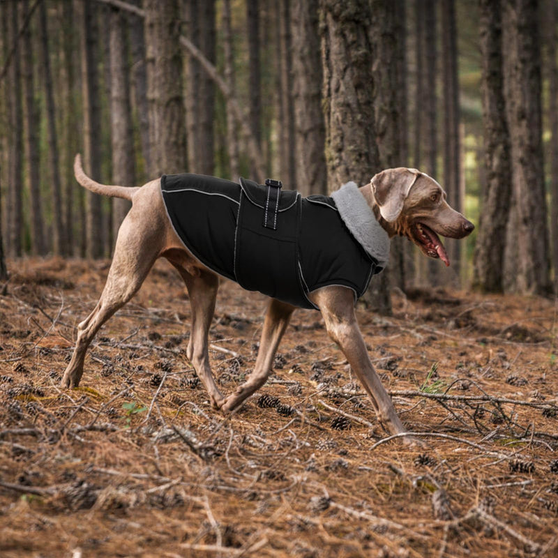 Lelepet Warm Dog Coat Reflective Dog Fleece Vest Waterproof Dog Jacket Windproof Dog Winter Coat Dog Cold Weather Coats with Adjustable Buckle XLarge Dog Coat Dog Snowsuit Dog Coat for Large Dogs， XL Black - BeesActive Australia