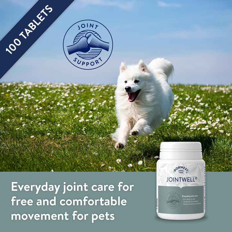 Dorwest JointWell 100 Tablets for Dogs & Cats – Natural Dog Supplements to Support Joint Mobility and Comfort, with Glucosamine, Chondroitin, Zinc, Vitamin C and Hyaluronic Acid