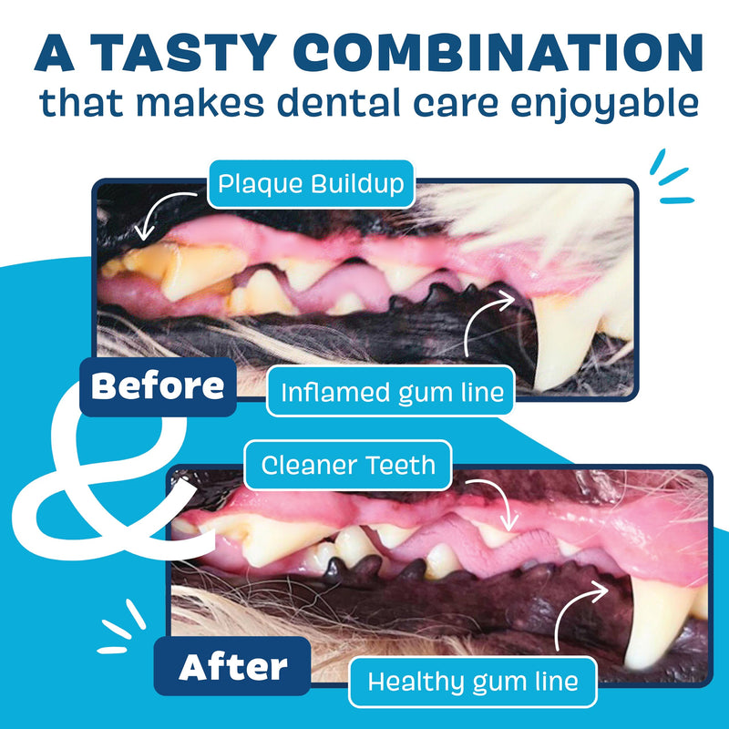 Bark Bright Durable Dog Dental Kit for Tough Chewers - 15 Chew Sticks & Toothpaste - Medium Breeds - PawsPlanet Australia