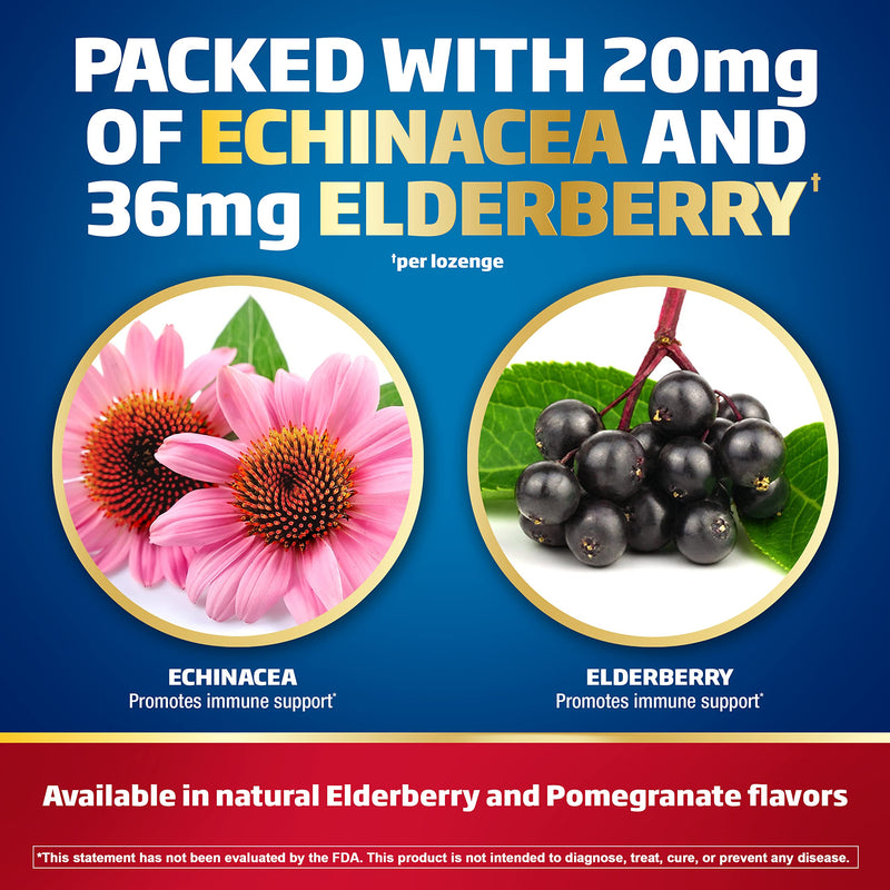 Defend-EEZE Immune Support Dietary Supplement Lozenges, 100% Daily Value of Zinc, Vitamins C & D per Dose, with Echinacea & Elderberry, Elderberry Flavor, 30 Lozenges