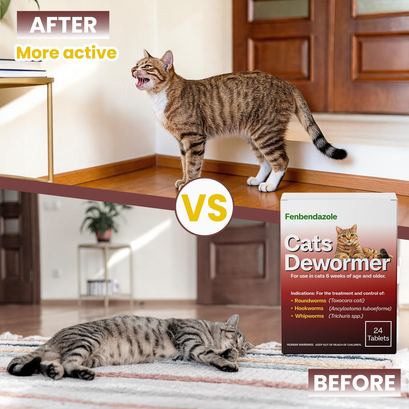 Dewormer for Cats & Kittens, Fenbendazole for All Wormers, Roundworms, Hookworms and Whipworms, 24 Tablets