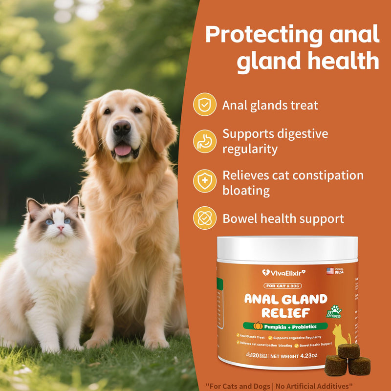 Constipated Cat - Pumpkin + Probiotic Soft Chews - Promotes Digestive Health, Regular Bowel Movements, and Intestinal Balance | Veterinarian-Approved, 120 Chewable Tablets