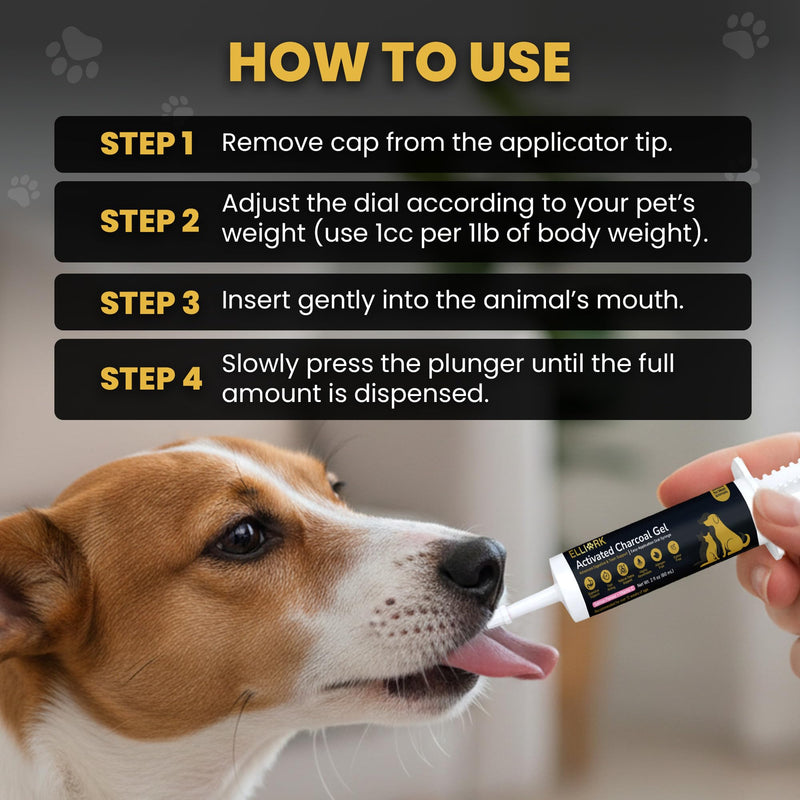 Activated Charcoal Gel for Dogs & Cats – Pet First Aid & Emergency Use, Fast-Acting Digestive & Toxin Support, Salmon Flavored Oral Syringe with Vitamin C, 60mL