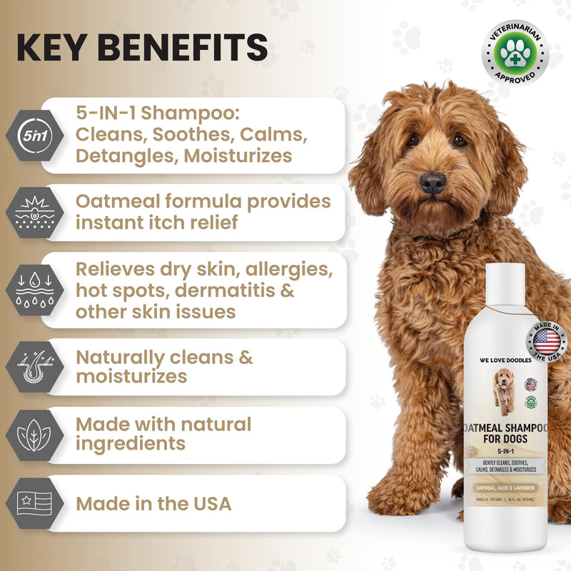 5-in-1 Premium Oatmeal Shampoo for Dogs, Gentle for Itchy & Sensitive Skin, Provides Itch Relief, Hypoallergenic & Soothing for Dry Skin, Moisturizing Anti-Itch, Made in USA, 16 oz [We Love Doodles] Oatmeal Dog Shampoo - BeesActive Australia