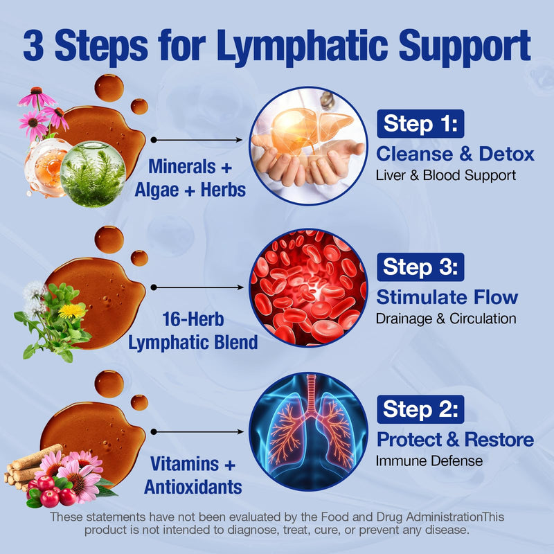 Lymphatic Drainage Drops 1800mg - 18 Herbal Extracts with Echinacea, Astragalus 10:1, Turmeric 10:1 & 7 Vitamins - Immune & Circulatory Support - Vegan, Non-GMO - 55ml