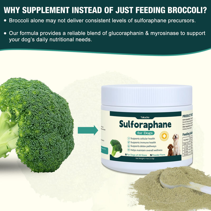 Sulforaphane Supplement for Dog, Sulforaphane Powder for Dogs, Promotes Sulforaphane Production, Cellular & Immune Function Support, Easy-to-Use Powder for Aging & Senior Dogs, 4Oz