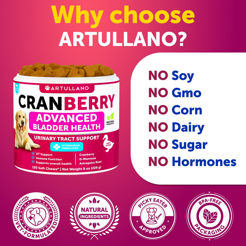 Dog UT Treats - Cranberry Chews for Dogs - Urinary Tract & Bladder Support Supplement with Natural Cranberry Extract - Tasty 120 Soft Bites for Daily Wellness with Fish Oil, Pumpkin, D-Mannose Cranberry Chews - 120 Count