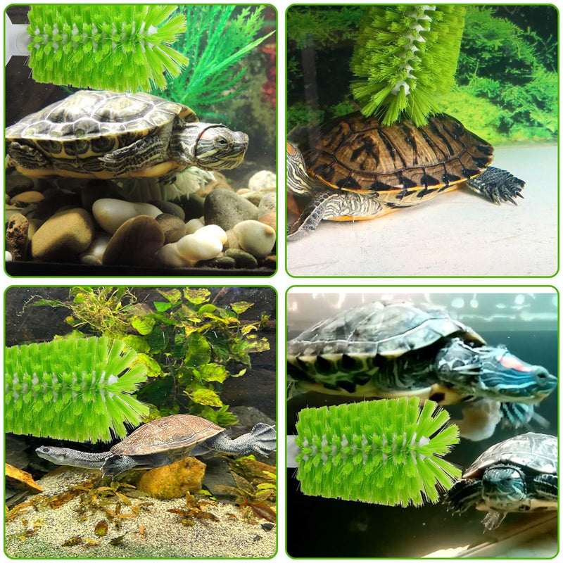 Amaxiu Turtle Brush, Turtle Exfoliate Brush with Suction Cup Turtle Scrub Brush for Shell Tortoises Back Scratches BrushTurtle Brush Green for Remove Turtle Shell Scutes Mud Dirt - BeesActive Australia