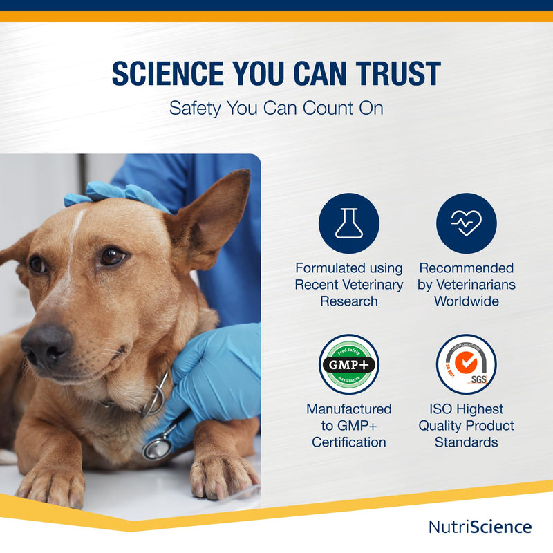 NutriScience Arthriaid Omega Dog Joint Supplement – Glucosamine, Chondroitin, MSM & Omega 3 – Supports Mobility, Relieves Stiffness & Promotes Cartilage Repair – 250ml 250 ml (Pack of 1)