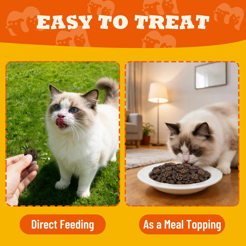 7.05 oz Soft Cat Dental Treats Cat Treats for Indoor Cats Chicken Flavor Pumpkin Added Cat Training Treats 7.05 Ounce (Pack of 1)