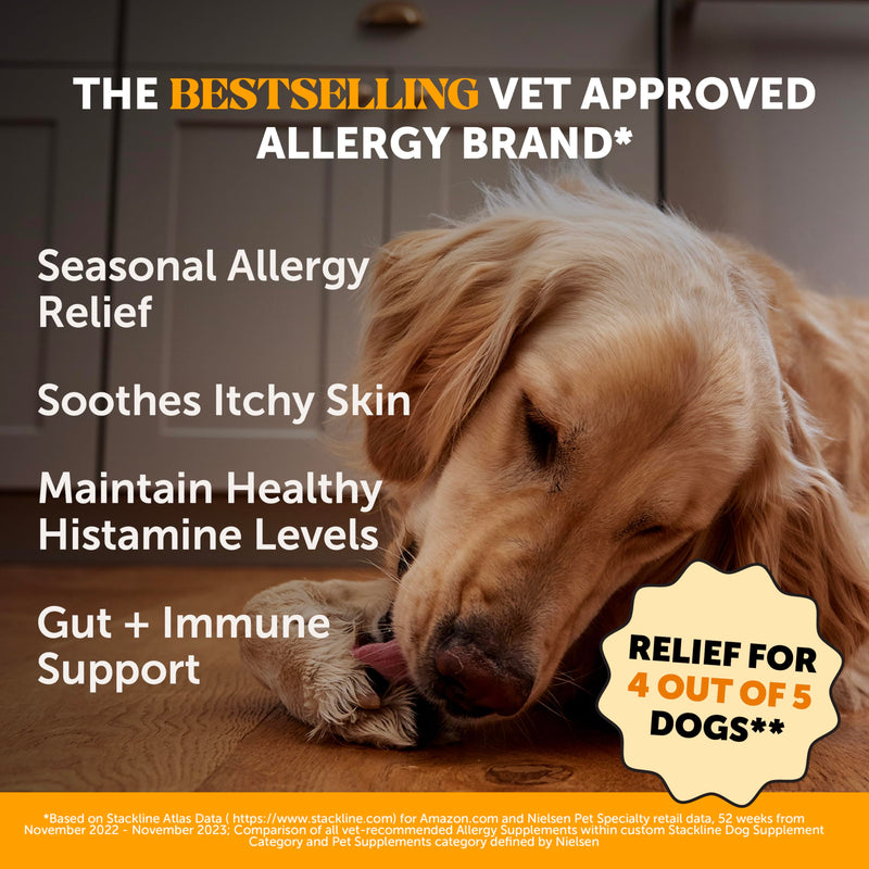 Pet Honesty Dog Wellness Virtual Bundle – Allergy Relief Immunity Chews (Salmon, 90 Ct) + Brush Buddies Dental Sticks for Medium Dogs (15 Ct) – Itch Support, Plaque & Breath Care