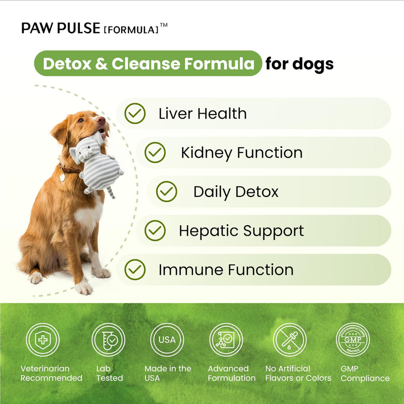 Pawpulse Formula Liver Support for Dogs – Milk Thistle & Silymarin Powder – Daily Detox, Kidney Wellness & Antioxidant Defense, 2.12 oz
