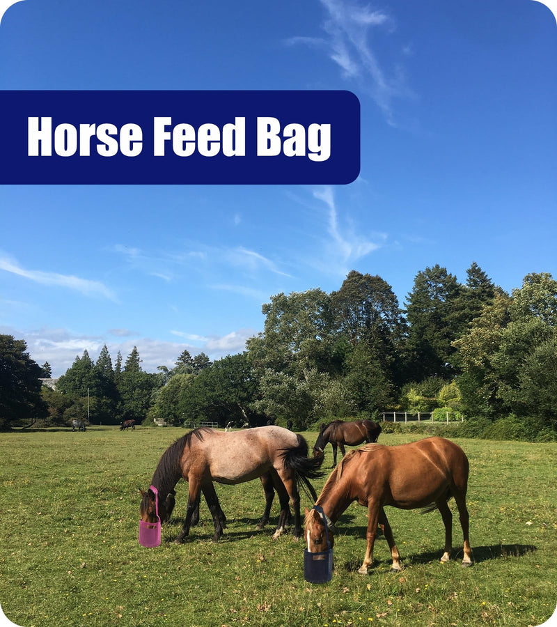 Horse Feed Bag for Grain Feeder - Heavy Duty Equine Mesh Horse Nose Bag, Blue Grazing Muzzle for Horses with Adjustable Strap,Comfort Neck Pad and Nose Pad and Waterproof Bottom(Medium,2PCSblue) 2PCSblue - BeesActive Australia