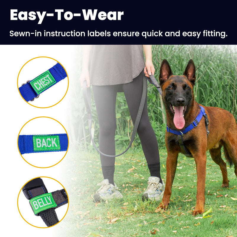 Anti Pull Dog Harness Freedom Walking, Stop Pulling with Two Stainless D-Rings, Comfortable & Lifhtweight, Sewn-in Instructions Labels for Easy Use (Blue, Large) Blue - BeesActive Australia