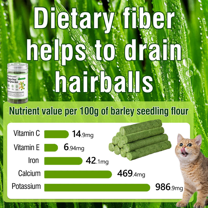 HavenJanny Cat Grass Teething Stick for Cat, Cat Grass Stick Canned for Indoor Cats, Cat Grass Treats Hairball Relief and Teeth Cleaning(1.76oz) 1.76oz - BeesActive Australia