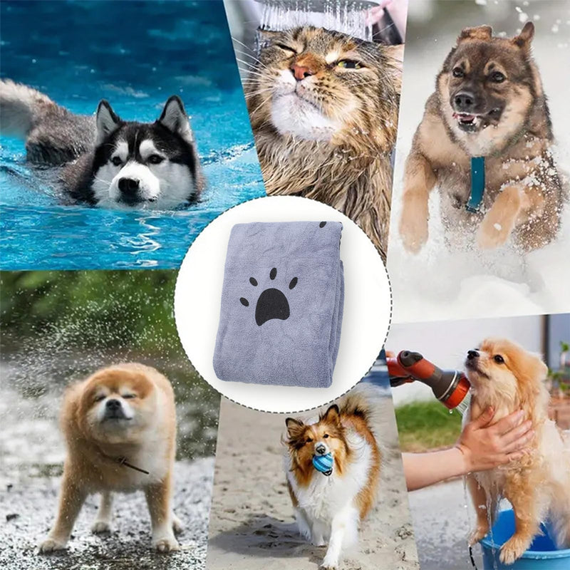 GZDAOXIA 1 piece 70 x 140 cm dog towel, extra absorbent dog towel, quick-drying warm pet towel, dog microfibre towel, large soft dog towel, for dogs, cats (grey) - BeesActive Australia