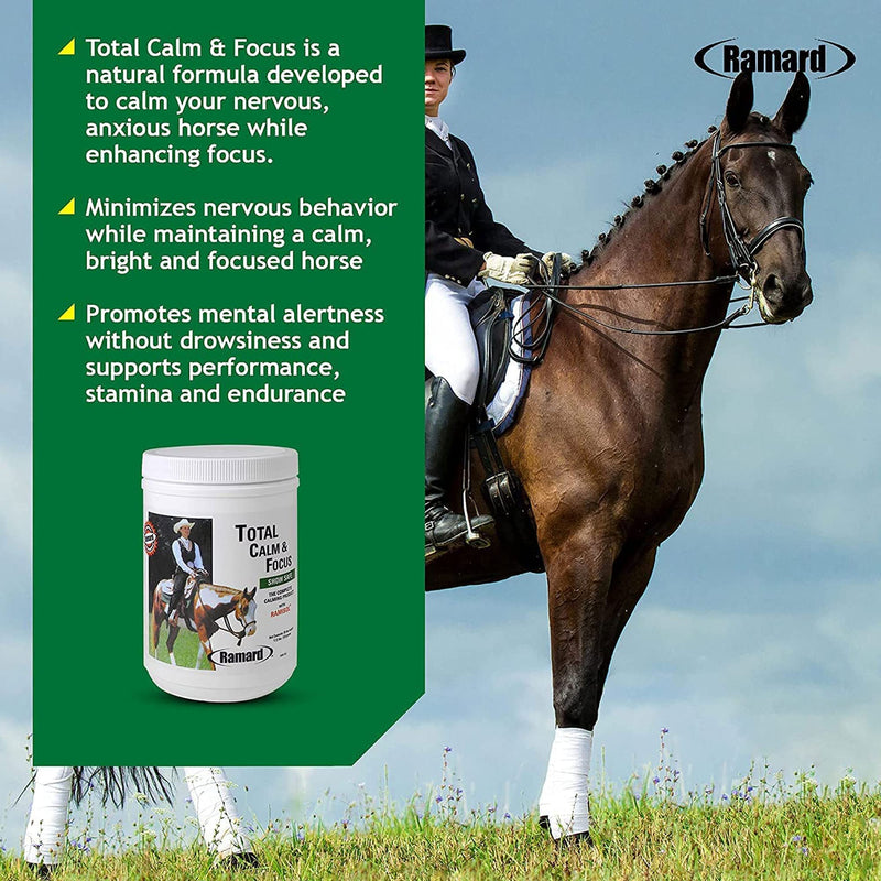 Total Calm and Focus for Horses Supplement - Magnesium & Calming Formula for Horse Show, Training, & Performance Mental Alertness without Drowsiness, Show Safe, Perfect Prep for Horses 1 pack 1 Pack, 1.12 lb - BeesActive Australia
